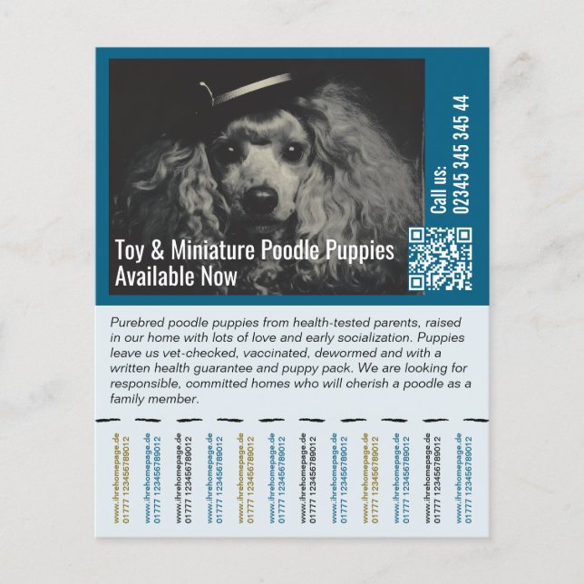To sell Puppies Flyer (Front)