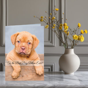 To the Best Dog Mom Ever Custom Photo & Text Holiday Card