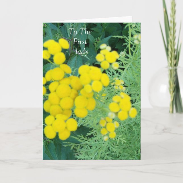 To The First Lady Thank You Card (Front)