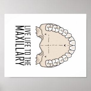 "To the Maxillary" Poster