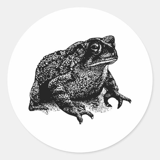 Toad Classic Round Sticker (Front)