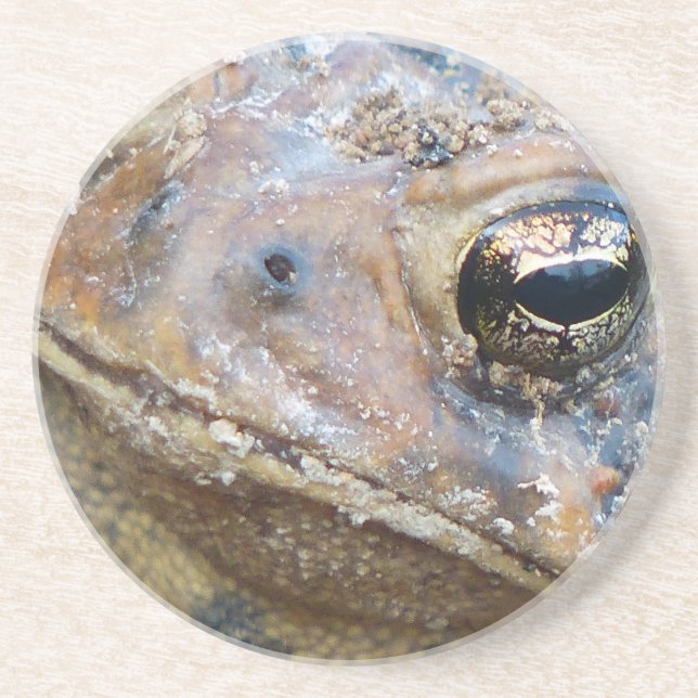 Toad face coaster (Front)