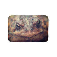 Toad Face Up Close 