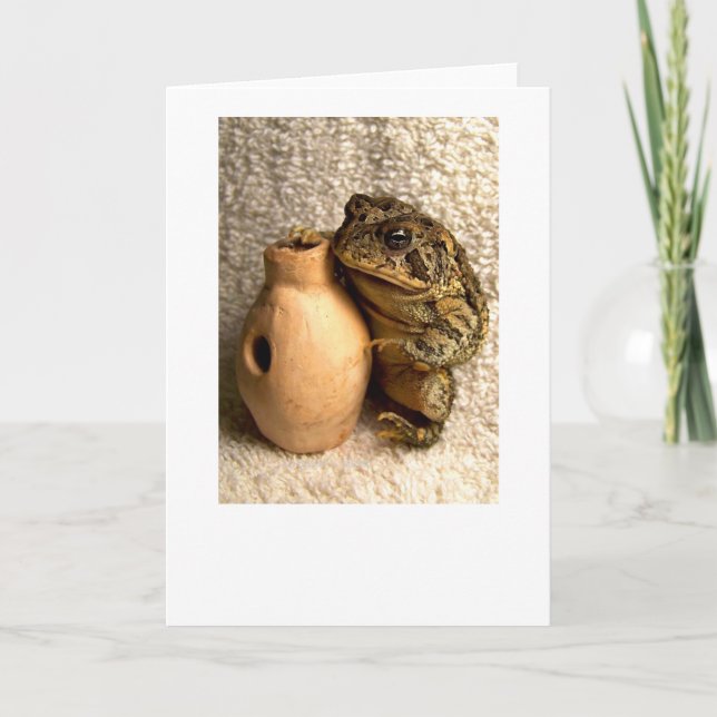 Toad frog holding miniature udu photograph card (Front)