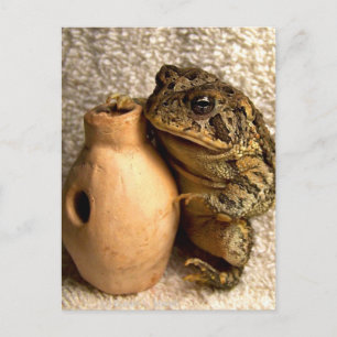 Toad frog holding miniature udu photograph postcard