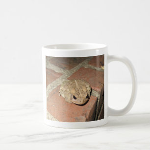 Toad Frog Mug
