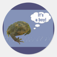 Toad It's a boy! New Baby Stickers