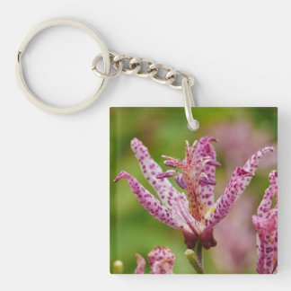 Toad Lily Key Ring