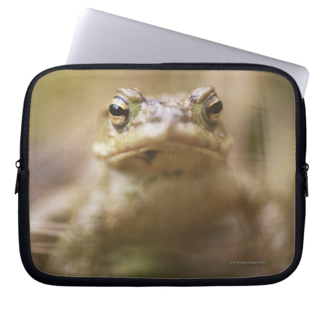 Toad of the Day Laptop Sleeve (Front)