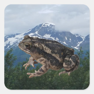 Toad Square Sticker