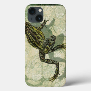 Toad Swinning in the Water iPhone 13 Case