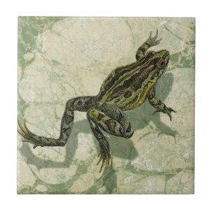 Toad Swinning in the Water Ceramic Tile