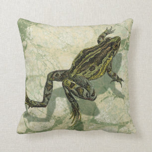 Toad Swinning in the Water Cushion