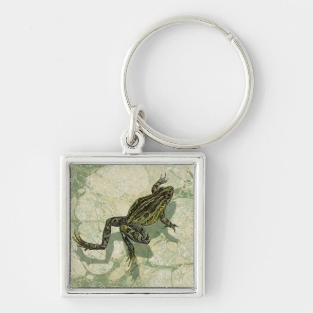 Toad Swinning in the Water Key Ring (Front)