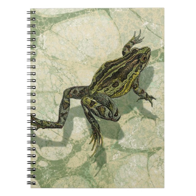 Toad Swinning in the Water Notebook (Front)