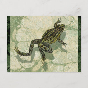 Toad Swinning in the Water Postcard
