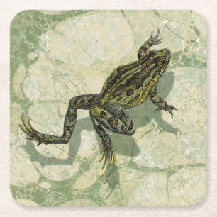 Toad Swinning in the Water Square Paper Coaster