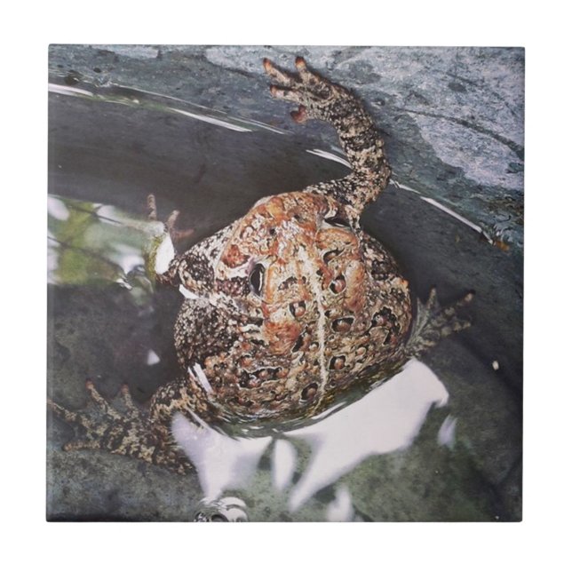 Toad Tile (Front)