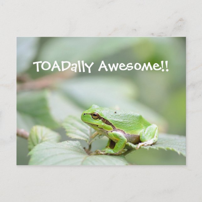 Toadally awesome card with frog (Front)