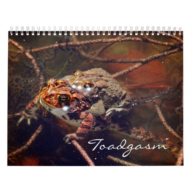 Toadgasm Calendar (Cover)