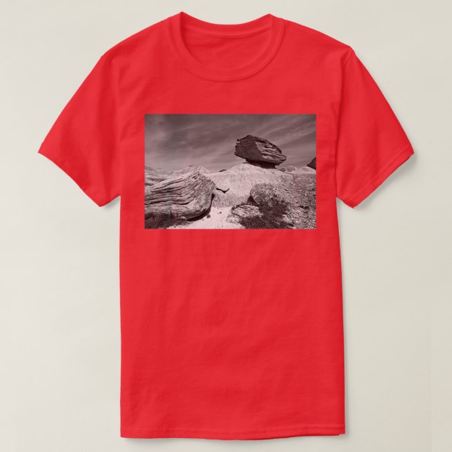 Toadstool Geological Park Monochrome T-Shirt (Design Front)