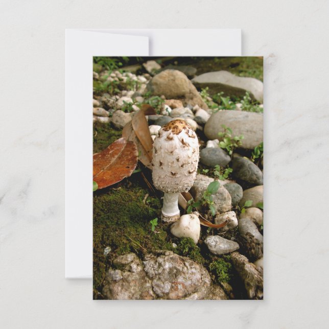 Toadstool, Moss and Rocks Thank You Card (Front)
