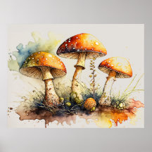 Toadstool Mushrooms, Amanita muscaria