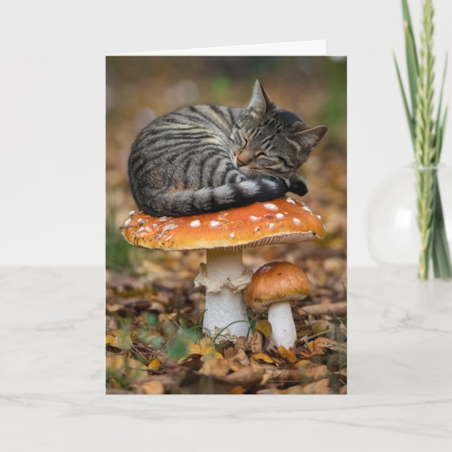 Toadstool Tabby Folded Greeting Card (Front)