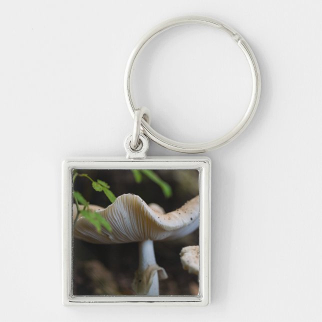 Toadstool Umbrella Key Ring (Front)
