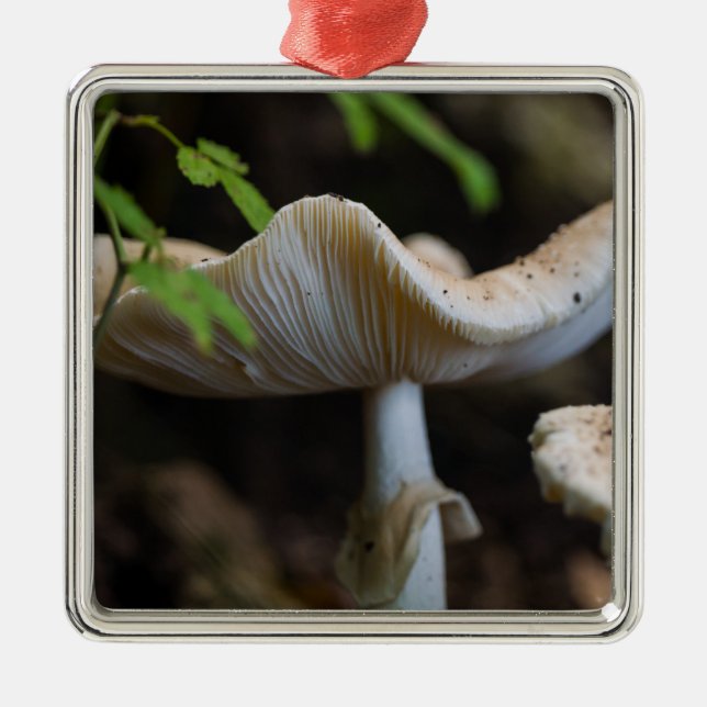 Toadstool Umbrella Metal Ornament (Front)