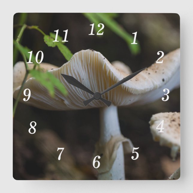 Toadstool Umbrella Wall Clock (Front)