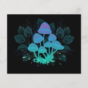 Toadstools in Bushes