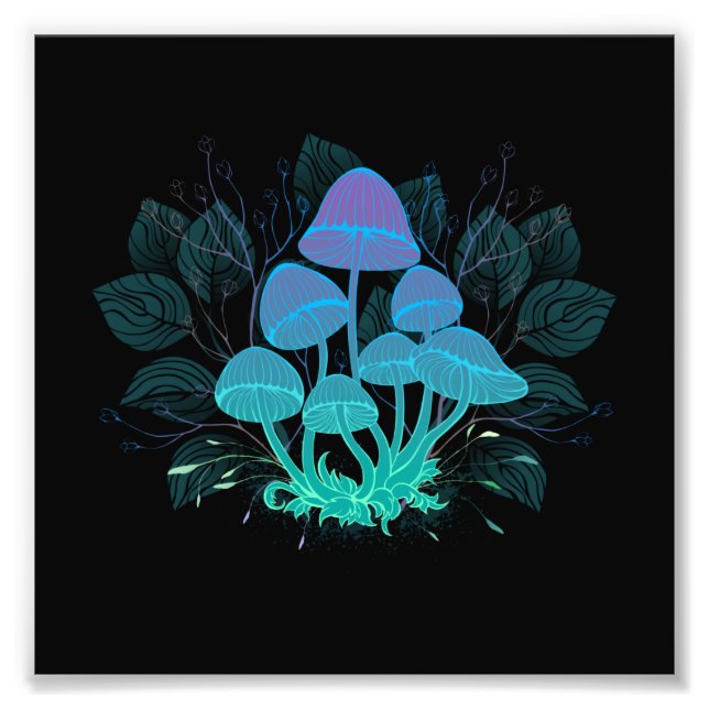 Toadstools in Bushes Photo Print (Front)