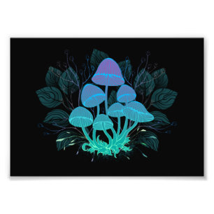 Toadstools in Bushes Photo Print