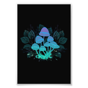 Toadstools in Bushes Photo Print