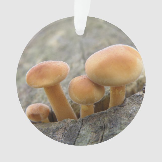Toadstools on a Tree Trunk Acrylic Ornament (Front)