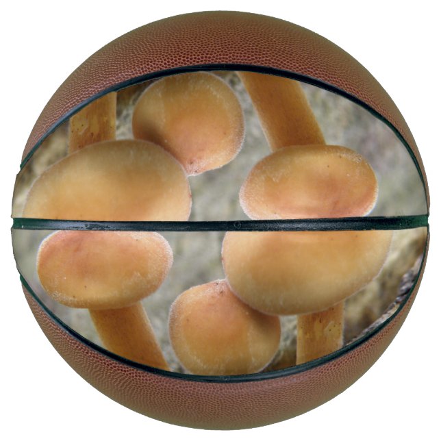 Toadstools on a TRee Trunk Basketballs (Front)
