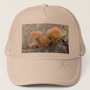 Toadstools on a Tree Trunk Hat