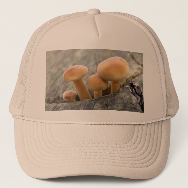 Toadstools on a Tree Trunk Hat (Front)