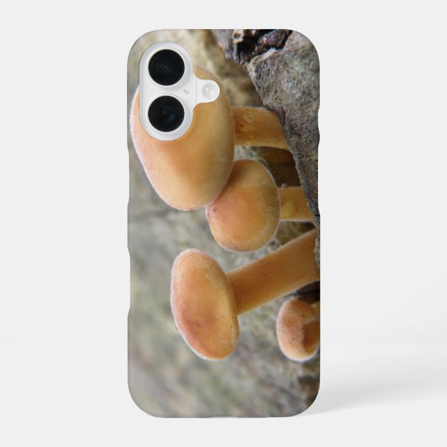 Toadstools on a Tree Trunk iPhone 16 Case (Back)