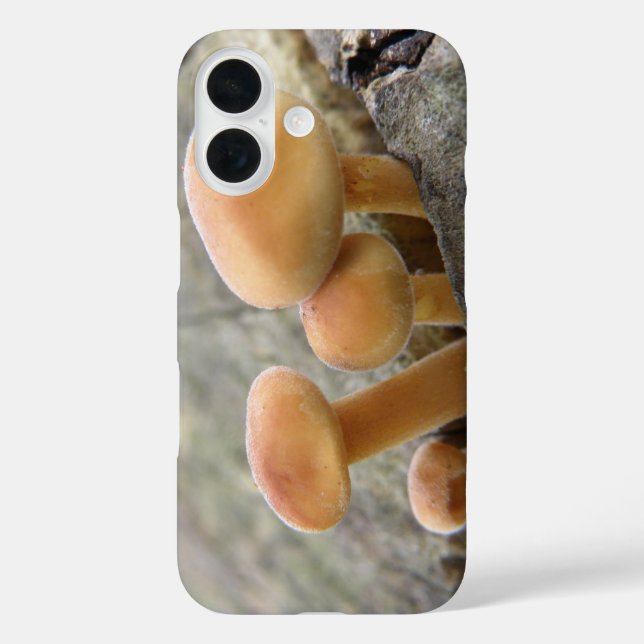 Toadstools on a Tree Trunk iPhone Case (Back)