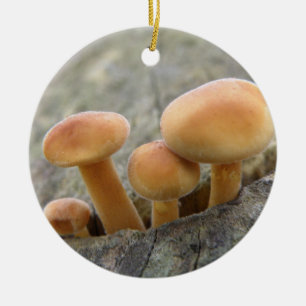 Toadstools on a Tree Trunk Ornament