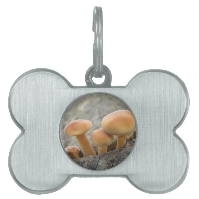 Toadstools on a Tree Trunk Pet Tag (Front)