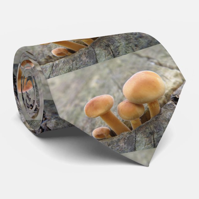 Toadstools on a Tree Trunk Tie (Rolled)
