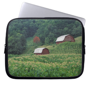 Tobacco crop and pair of red tobacco barns near laptop sleeve