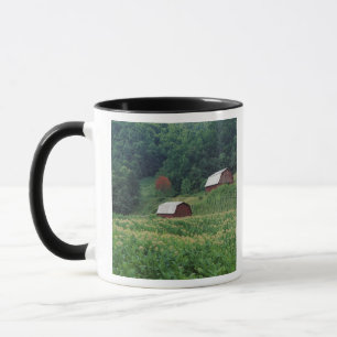 Tobacco crop and pair of red tobacco barns near mug