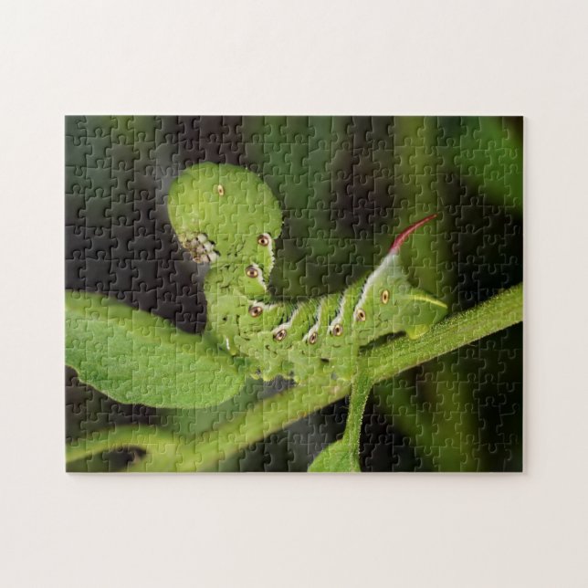 Tobacco Hornworm Caterpillar Tomato Plant Puzzle (Horizontal)