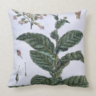 Tobacco plant, plate 7, from 'Collection Precieuse Cushion