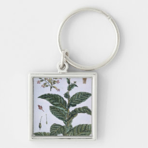 Tobacco plant, plate 7, from 'Collection Precieuse Key Ring