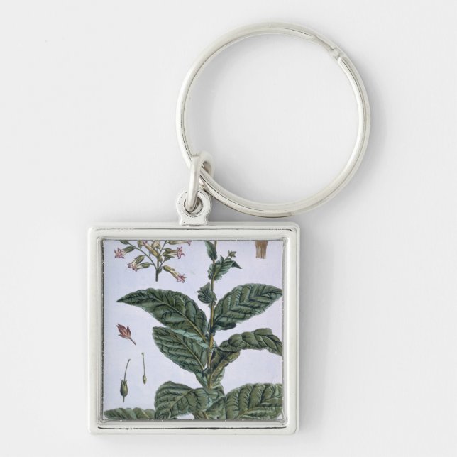 Tobacco plant, plate 7, from 'Collection Precieuse Key Ring (Front)
